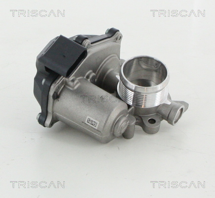 TRISCAN EGR szelep 881329316_TRIS