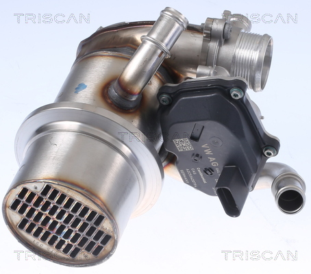 TRISCAN EGR szelep 881329345_TRIS