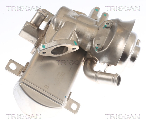 TRISCAN EGR szelep 881329347_TRIS