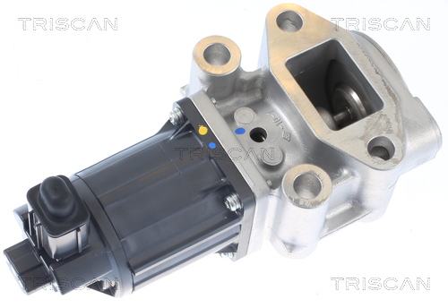 TRISCAN EGR szelep 881342001_TRIS