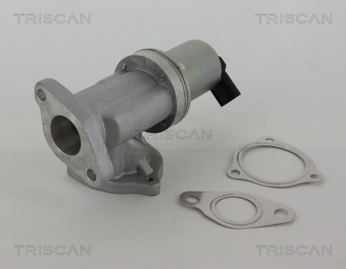 TRISCAN EGR szelep 881343002_TRIS