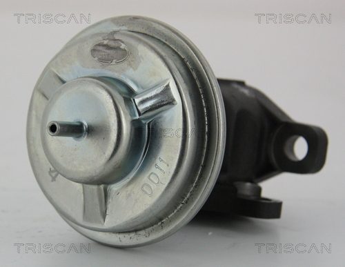 TRISCAN EGR szelep 881343003_TRIS