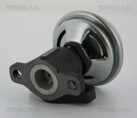 TRISCAN EGR szelep 881343005_TRIS