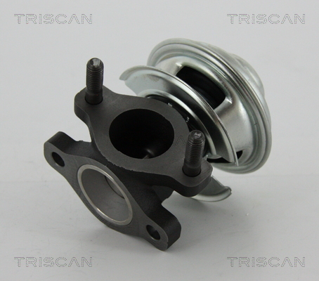 TRISCAN EGR szelep 881343008_TRIS