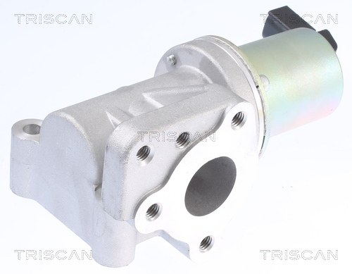 TRISCAN EGR szelep 881343015_TRIS