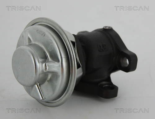 TRISCAN EGR szelep 881343022_TRIS