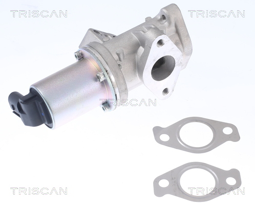 TRISCAN EGR szelep 881343024_TRIS