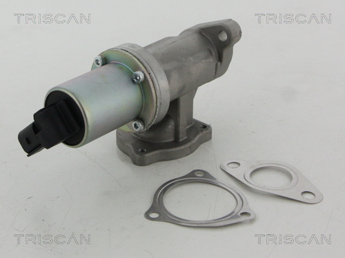 TRISCAN EGR szelep 881343100_TRIS