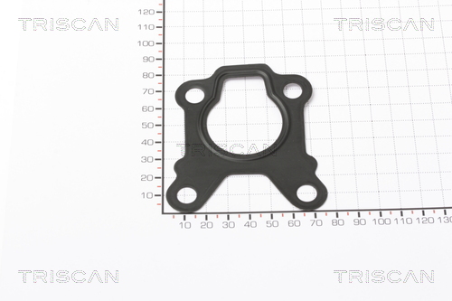 TRISCAN Tömítés, egyéb 881399123_TRIS