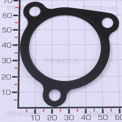 TRISCAN Tömítés, EGR szelep 881399173_TRIS