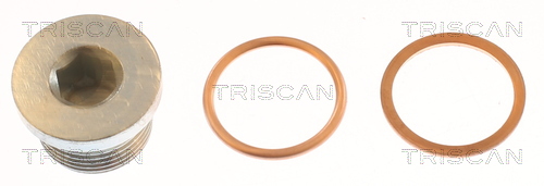 TRISCAN Olajleengedő csavar 95001007_TRIS