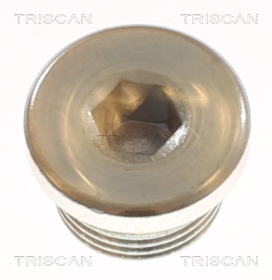 TRISCAN Olajleengedő csavar 95001106_TRIS