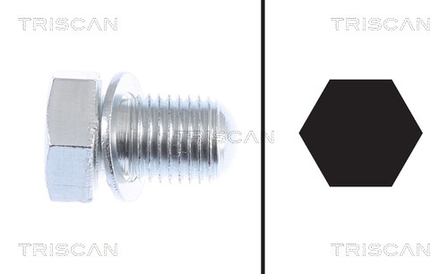 TRISCAN Olajleengedő csavar 95002903_TRIS