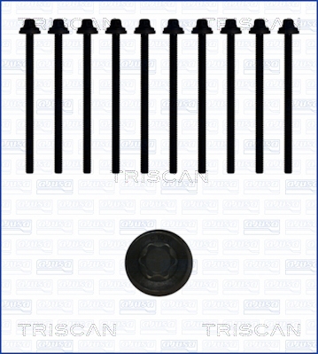 TRISCAN Hengerfej csavar 98-5012_TRIS