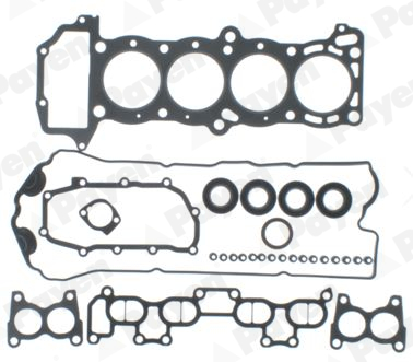 PAYEN Felső tömítéskészlet DP950