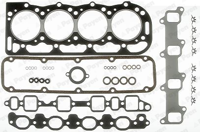 PAYEN Felső tömítéskészlet DS990