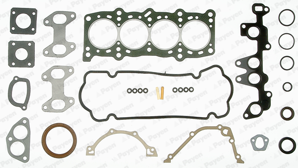 PAYEN Teljes tömítéskészlet GP282