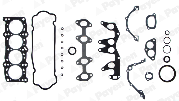 PAYEN Teljes tömítéskészlet GV671
