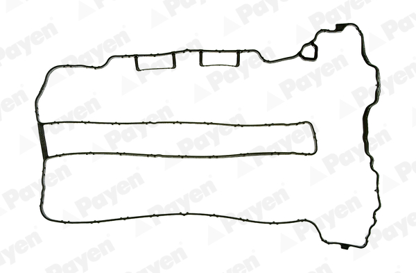 PAYEN Szelepfedél tömítés JM5071