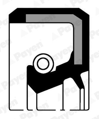 PAYEN Szimmering NA5461