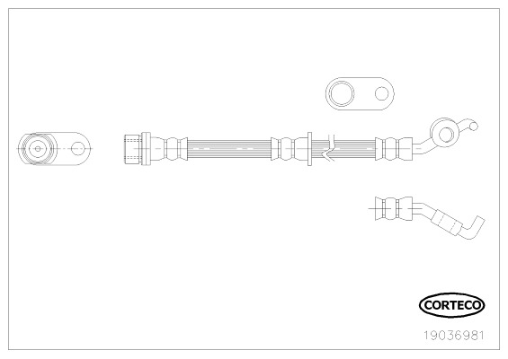 CORTECO Gumifékcső 19036981_CTO
