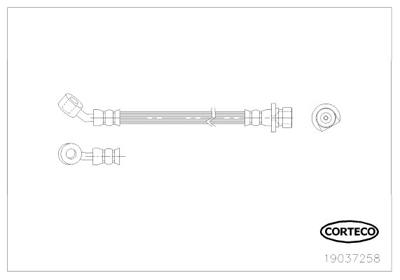 CORTECO Gumifékcső 19037258_CTO