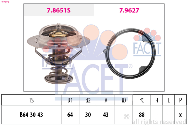 FACET Termosztát 7.7979_FACET