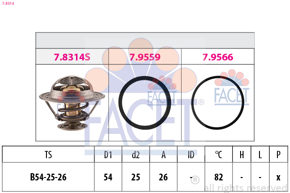 FACET Termosztát+O gyűrű 7.8314_FACET