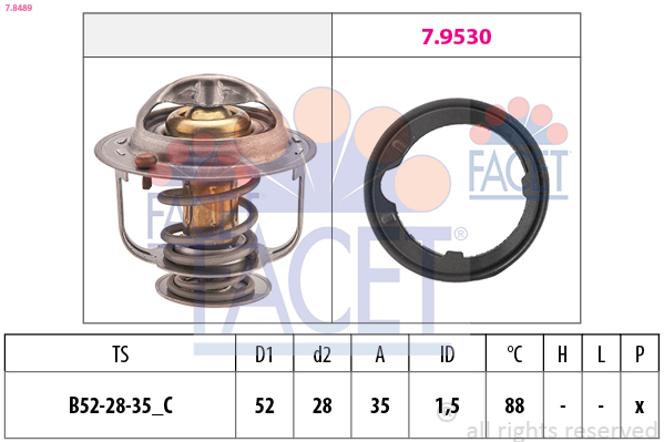 FACET Termosztát 7.8489_FACET