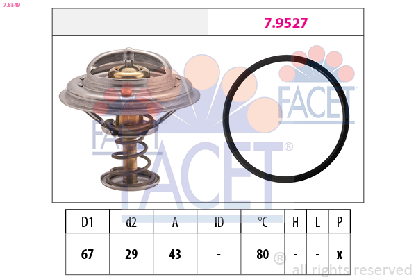 FACET Termosztát+O gyűrű 7.8549_FACET