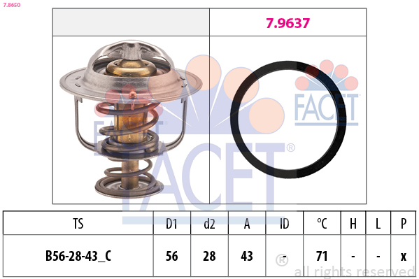 FACET Termosztát+O gyűrű 7.8650_FACET