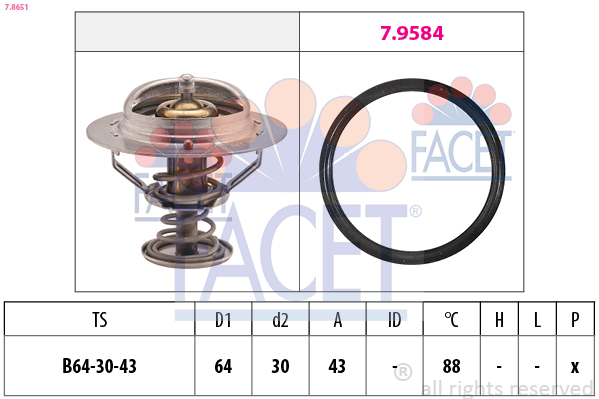 FACET Termosztát 7.8651_FACET