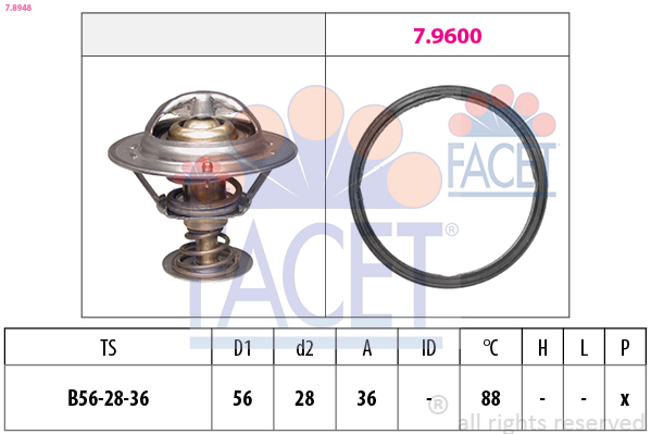 FACET Termosztát+O gyűrű 7.8948_FACET