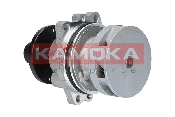 KAMOKA Vízpumpa T0058_KAM