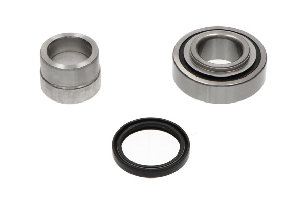 KAVO PARTS Kerékcsapágy készlet WBK-1519_KP