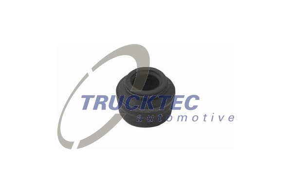 TRUCKTEC Szelepszár szimmering 02.12.023