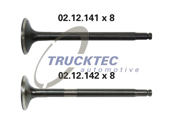 TRUCKTEC Gumifékcső 02.43.296