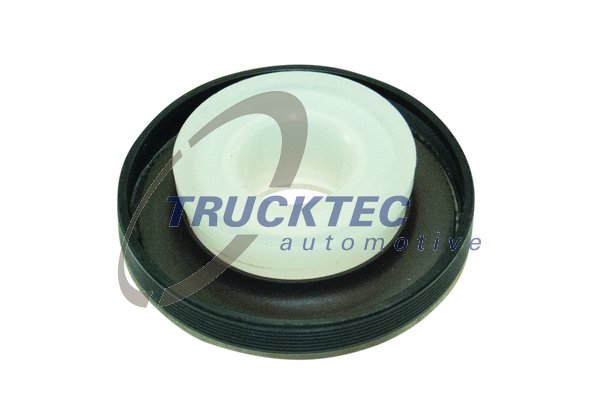 TRUCKTEC Szimmering 02.43.306