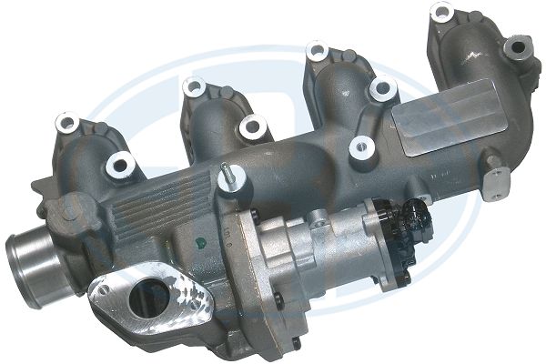 ERA OE EGR szelep 555306A_ERO