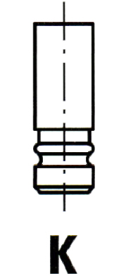 IPSA Szelep VL028100_IPS