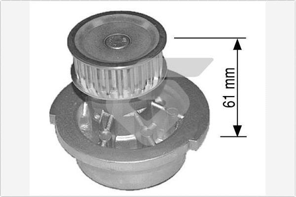 HUTCHINSON Vízpumpa WP19_HUT