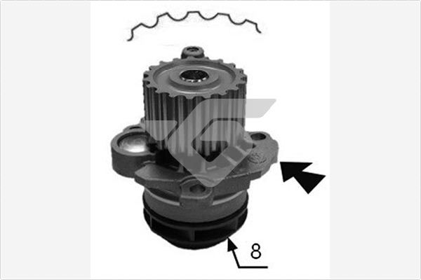 HUTCHINSON Vízpumpa WP79_HUT