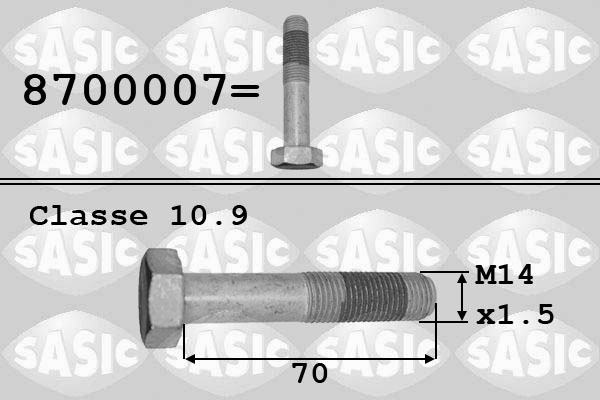 SASIC Csavar, szíjtárcsa 8700007_SAS