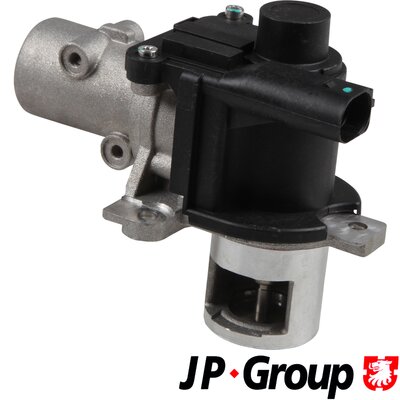 JP GROUP EGR szelep 4319900100_JPG