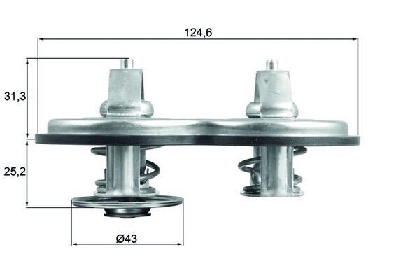 MAHLE Termosztát TX14183_MAHLE