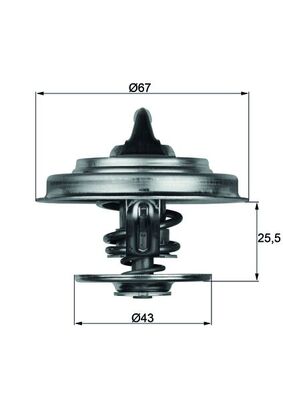 MAHLE Termosztát+O gyűrű TX1887D_MAHLE