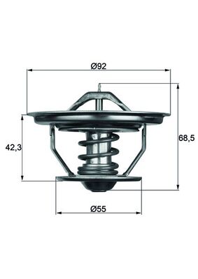 MAHLE Termosztát TX3579_MAHLE