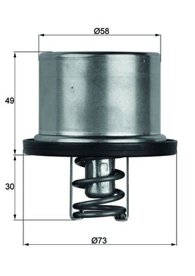 MAHLE Termosztát+O gyűrű TX3779_MAHLE