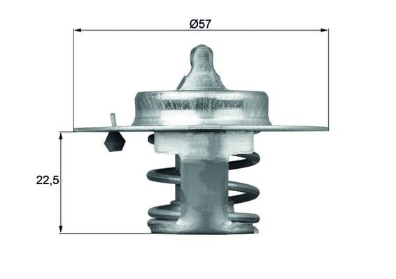 MAHLE Termosztát TX6083D_MAHLE