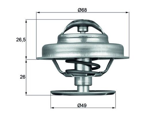 MAHLE Termosztát TX6289_MAHLE